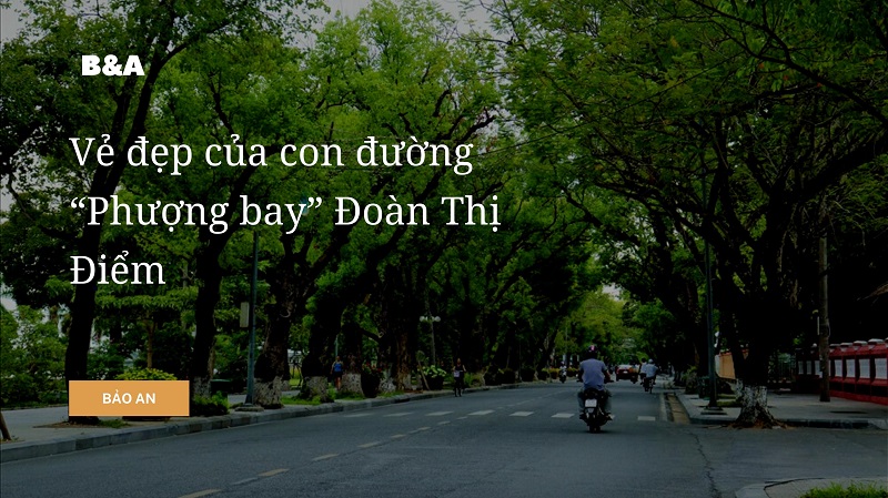  Ve-dep-cua-con-duong-Phuong-bay-Doan-Thi-Diem